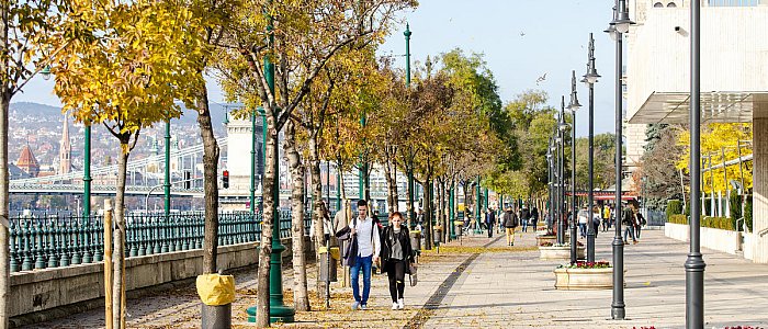 Погода в ноябре в Будапеште