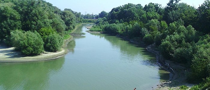 Остров Палота Остров Палота